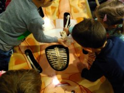 Kisállat kiállításon